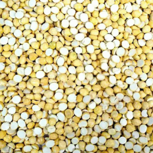 Bengal Gram-பொட்டுக்கடலை-පොට්ටුකඩලයි - Image 10