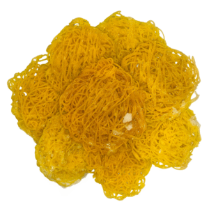 Pulladai-புள்ளடை-ගොනා